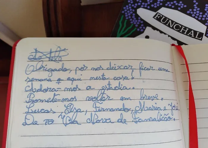 Window By Homie * Funchal (Madeira)