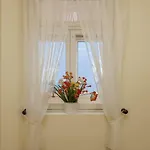 Window By Homie * פונשל