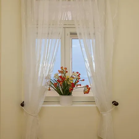 Window By Homie * Funchal (Madeira)