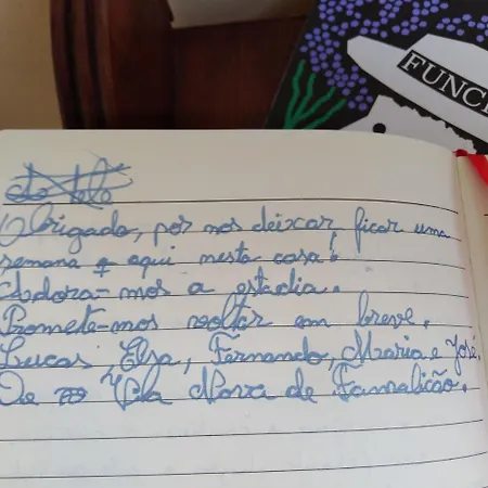 Window By Homie * Funchal (Madeira)